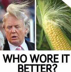 donald-trump-memes.jpg