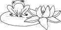 what are frogs.png