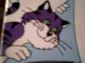 kitty cat.jpg