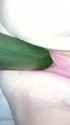 20130214 002.jpg