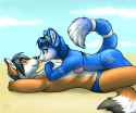 1377531839.alty_altykrystal_vallhund.png