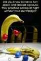 BananaBoxing.jpg
