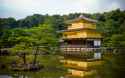 golden_temple-1.jpg.jpg