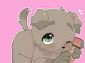tumblr_ogj701B6871vvvxj6o4_1280.gif