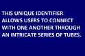 Internets for 500.png