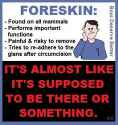 3da154b9932d2257c6d114eff8f28fc1.jpg