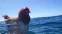received_939594386153276.jpg