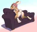 1461885381.suicidebones_saffroncouch.jpg