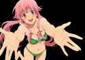 Yuno_Gasai-_Swimsuit_2.png