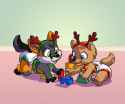 1421108251.tato_reindeer.jpg