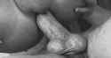 0342B9E.gif