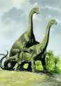 longneck sex3.jpg