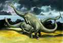 longneck sex2.jpg