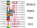 2012 world penis size.jpg
