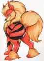 Arcanine14.jpg