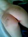 0004f3b8-36b1-6f82-ad72-f1cad7996a3d_958.jpg
