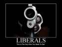 Kill Liberals.jpg