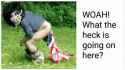 0777756.gif