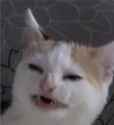 ue.png