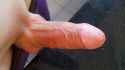 penis.jpg