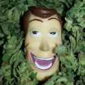 420.jpg