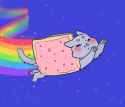 nyan.png