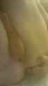 IMAG0839.jpg