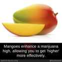 received_10208925560437894.jpg