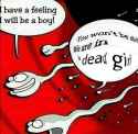 1504836526512.jpg
