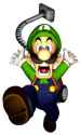 Luigi_vacuum.jpg