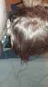 miniGif_20170907003800.gif