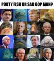 gop.jpg