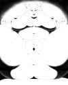 58a6dd3c6a9913eeda96468ab69d0b11.png
