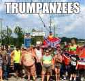 trumpanzees-meme.jpg