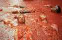 tomatina-valencia3.jpg