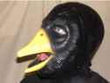 CAW CAW CAW 4.jpg