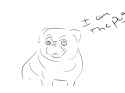 pug.png