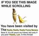 sVJiMI0btl9Vj0TrNYCjo.jpg