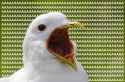 received_930031707135354.jpg