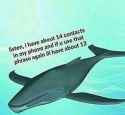 received_10155609958463885.jpg