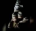 Fat Slut Nice Tits 001.jpg