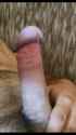 5C7BB6C0-4318-4FE5-8538-11A5538EC999.png