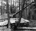 Tiger_2_tank_porsche_turret.jpg