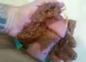 ImageUpload6:2:11.jpg