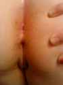 DSC01311.jpg