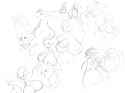 Reshiram33b.png