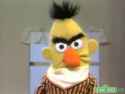 bert.jpg