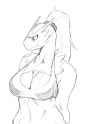 Blaziken107.png