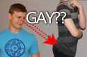 gayy.jpg