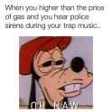 FB_IMG_1496940619760.jpg